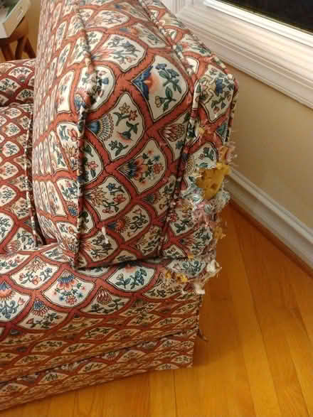 Photo of free Upholstered chair (Braddock Heights) #1