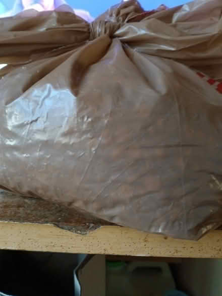 Photo of free Dry Cat food (white center) #1