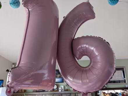 Photo of free Sweet 16 decorations (Old Barrhaven) #2