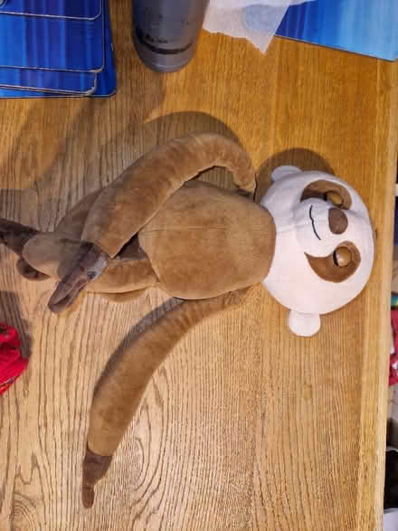Photo of free Cuddly sloth, talks and giggles (Dublin 3) #1
