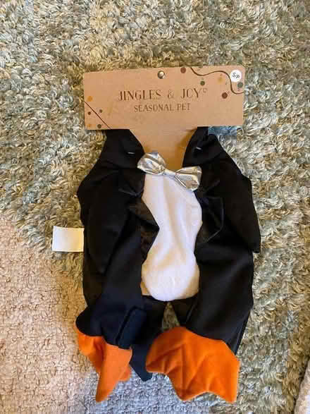 Photo of free Penguin outfit for small dog ! (Wokingham RG40) #1