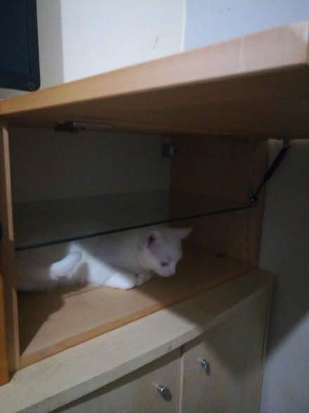 Photo of free Wooden units with glass shelf (PA5) #2