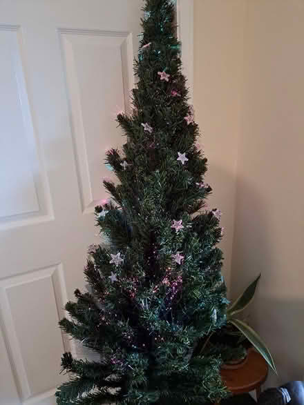 Photo of free 6ft fibre optic tree (melksham east SN12) #1