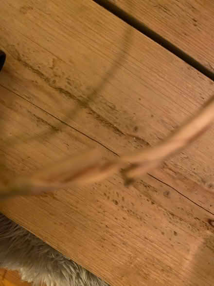 Photo of free Little wicker baskets (Berkhamsted HP4) #1