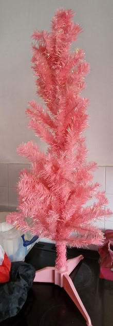 Photo of free Xmas tree (Hellingly) #1