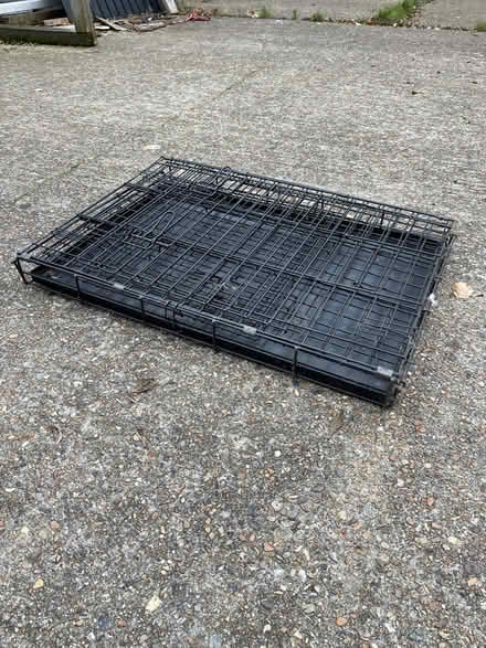 Photo of free Dog crate (Brixton SW2) #1