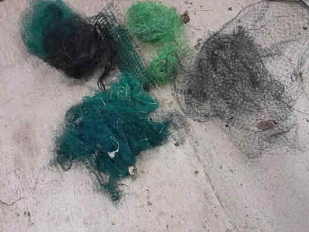 Photo of free Garden netting (Upper Hill HR6) #1