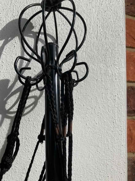 Photo of free Climbing plant support. (IP1) #1