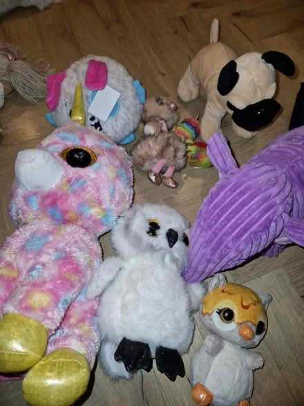 Photo of free Selection of teddies, incl TY (Dublin 3) #1