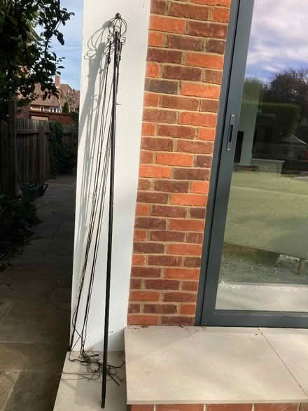 Photo of free Climbing plant support. (IP1) #2