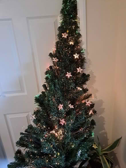 Photo of free 6ft fibre optic tree (melksham east SN12) #3