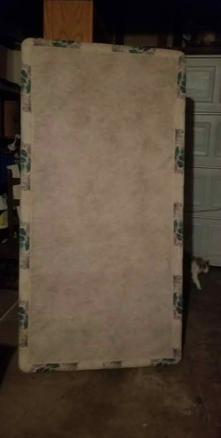 Photo of free Twin bed box spring (Ashland and River Street) #1
