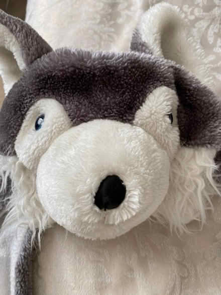 Photo of free Girls winter hat age 4-7 (Tunbridge Wells S. TN2) #1