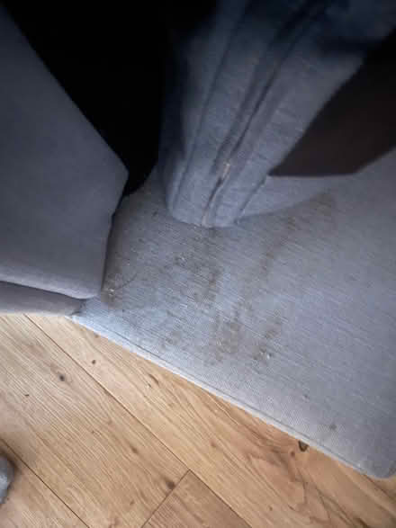 Photo of free 2 sofa beds (BR5) #2