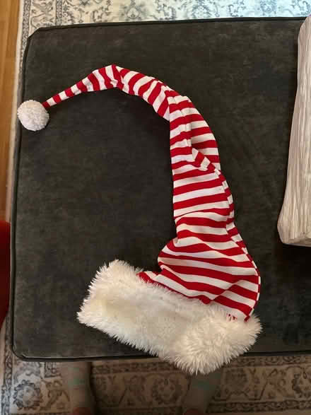 Photo of free Crazy Christmas Hat (Romeoville) #1