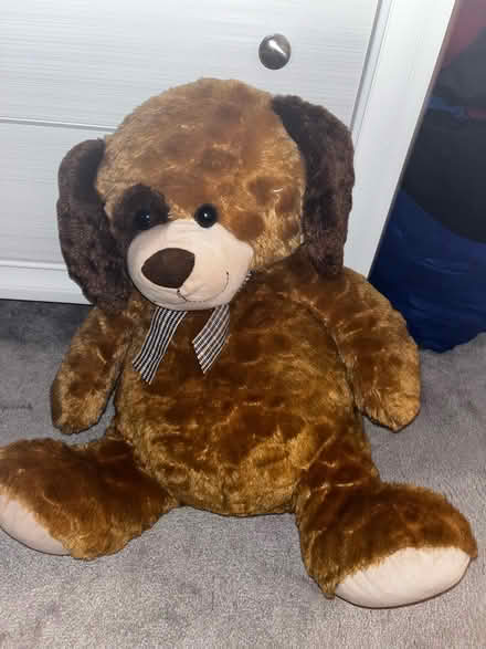 Photo of free Big teddy bear (Roselle Park) #1