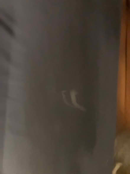 Photo of free Sofa Bed (CF24) #3