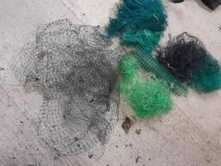 Photo of free Garden netting (Upper Hill HR6) #2