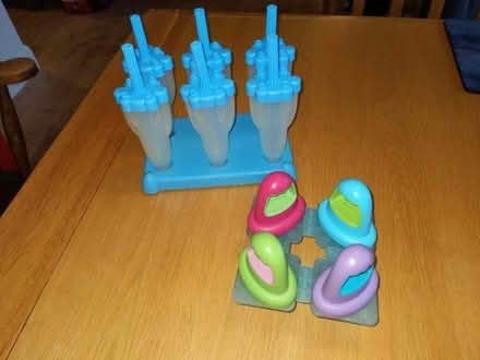 Photo of free Ice lolly moulds (Northcourt OX14) #1