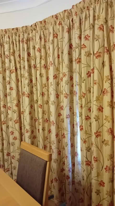 Photo of free Floor length curtains (Rhiwbina CF14) #1