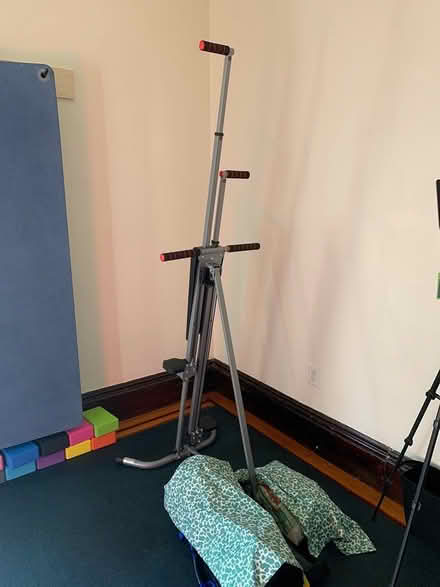 Photo of free Stationary ladder climber (Porter square) #1