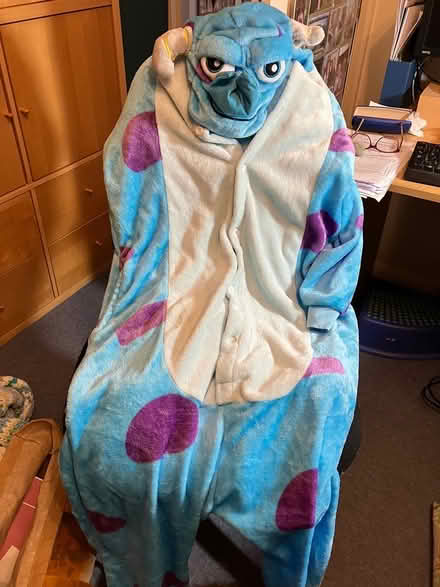 Photo of free Sully Onesie, adult size (Cambridge UK) #1