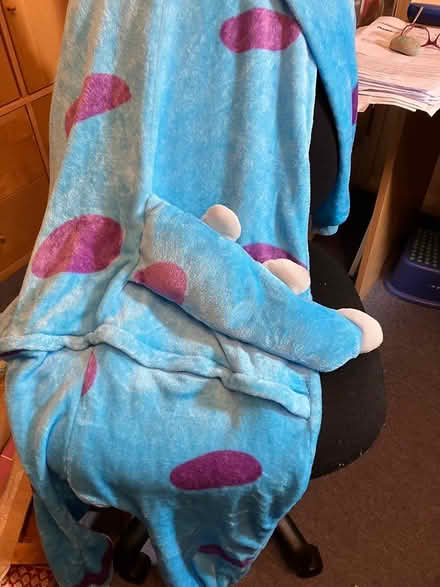 Photo of free Sully Onesie, adult size (Cambridge UK) #2