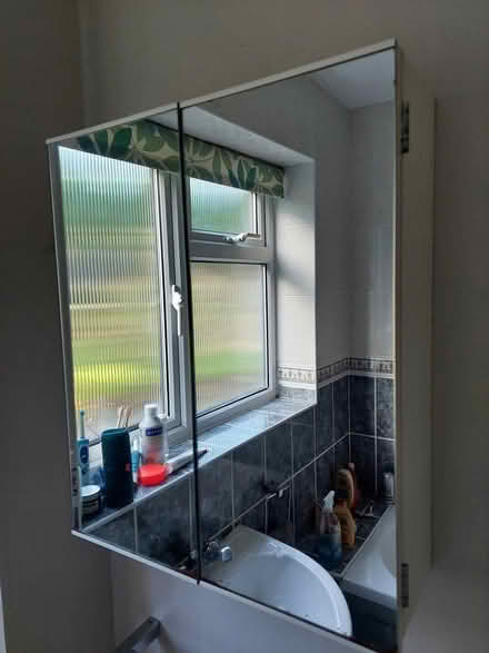 Photo of free Bathroom cabinet (TN13) #2