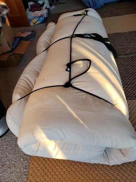Photo of free Mattress for Futon or Dog Bed (Chesapeake Estates) #1