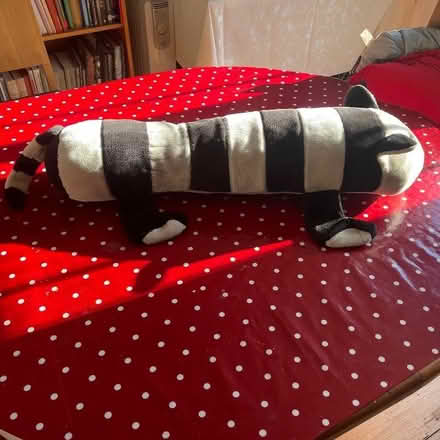 Photo of free 2 Novelty cushions i- can separate (Welwyn AL6) #1