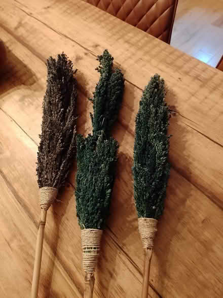 Photo of free Decorative plant things (L37) #2