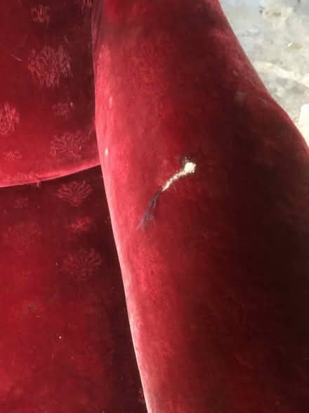 Photo of free Arm chair (Pembridge HR6) #2