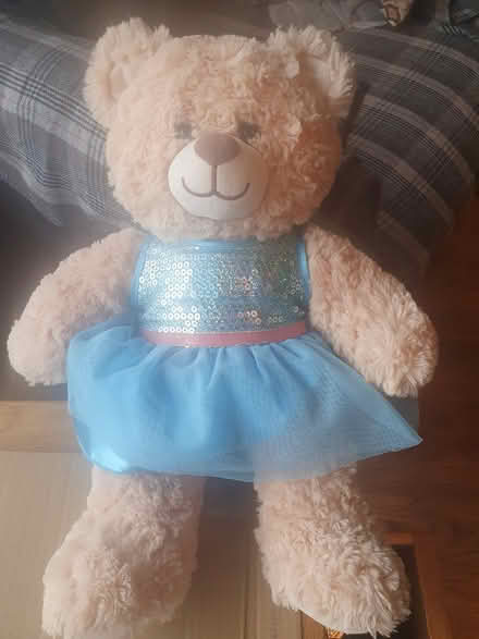 Photo of free Teddy (Hollin Estate Middleton M24) #1