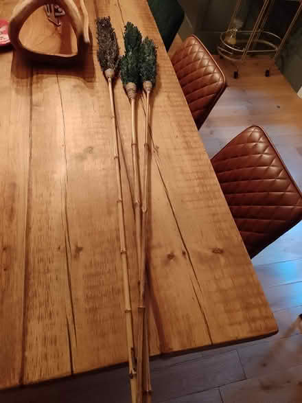 Photo of free Decorative plant things (L37) #1