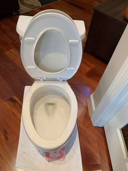 Photo of free Pending pick up - Toilet – elongat (Sandy Springs) #4