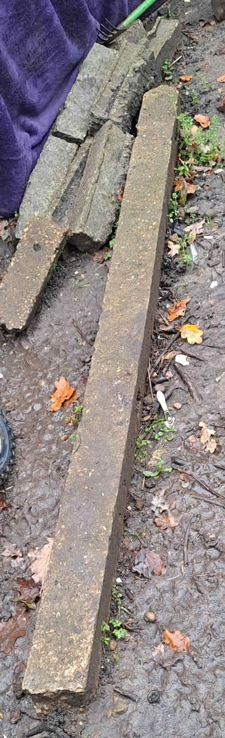 Photo of free Concrete posts (Croydon) #1