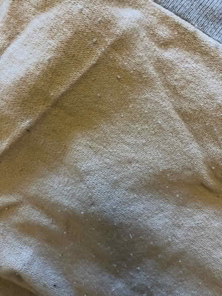 Photo of free Lambs wool throw blanket (Tolworth) #2