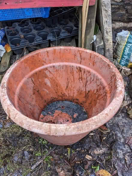 Photo of free Plastic pot large (Harbertonford TQ9) #4