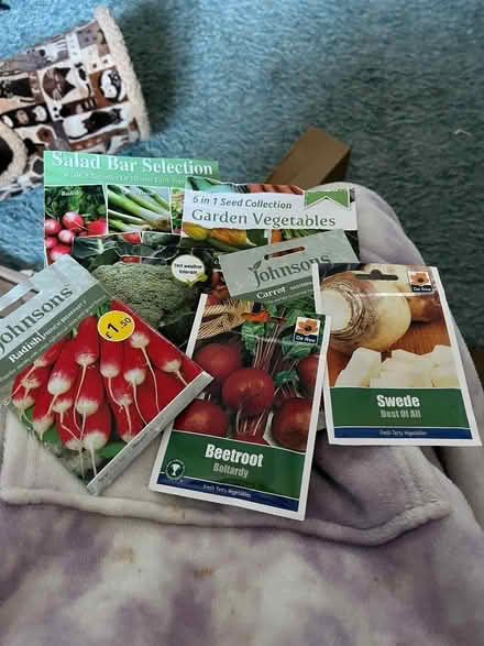 Photo of free Various Packets of Veg Seeds (CT17) #1