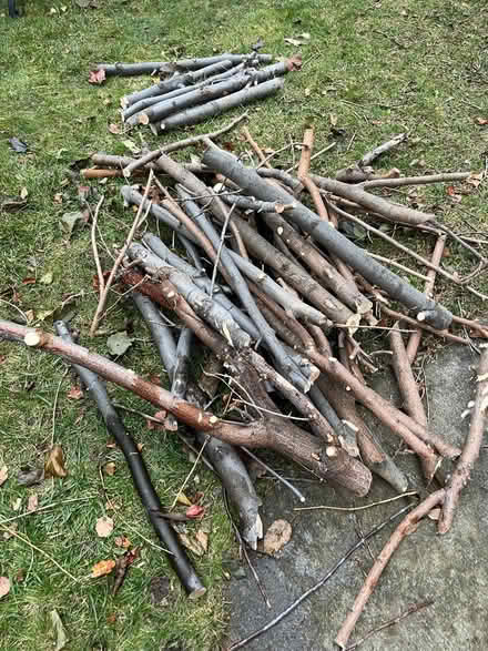 Photo of free Fire wood (Markham) #1