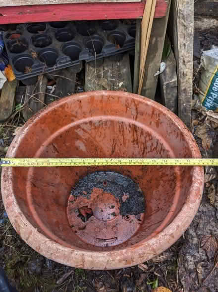 Photo of free Plastic pot large (Harbertonford TQ9) #3