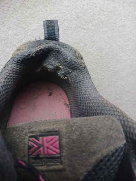 Photo of free Walking trainers (Morley DE21) #3