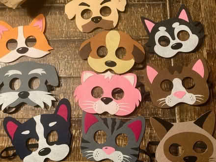 Photo of free 10 felt cats and dogs masks (Urmston) #1