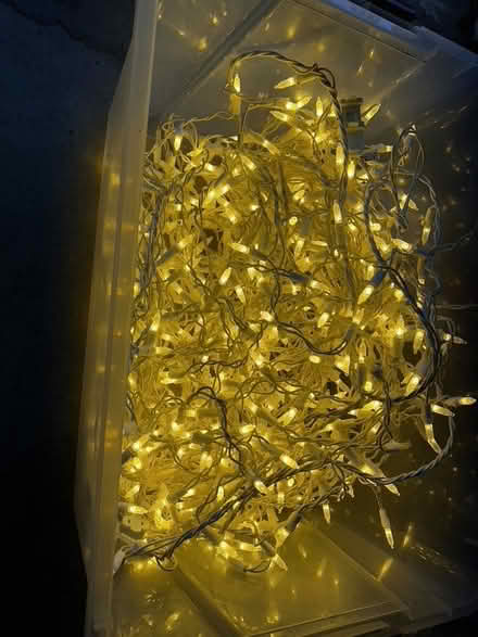 Photo of free outdoor icicle lights (Willows) #1