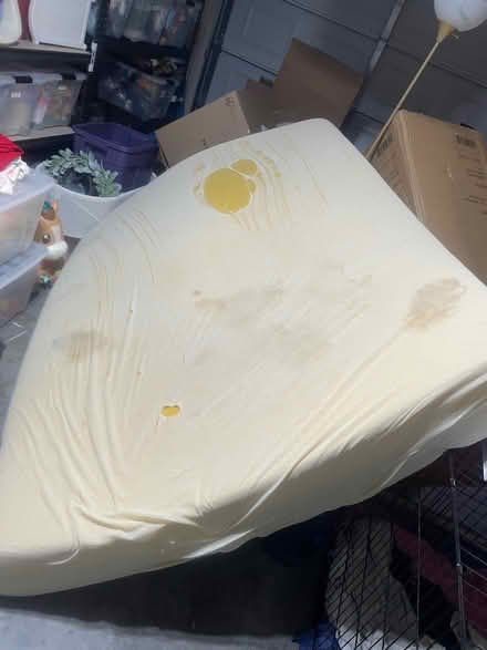 Photo of free Queen sized temper pedic mattress (East) #1