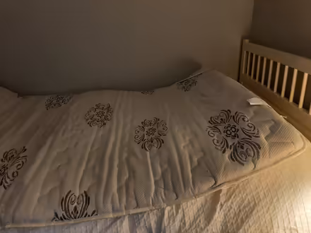 Photo of free Double mattress topper (New Edinburgh) #1
