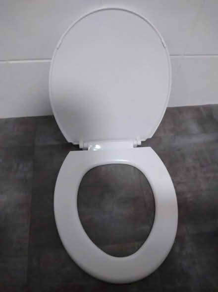 Photo of free White toilet seat & fixings (North Tonbridge, TN10) #1