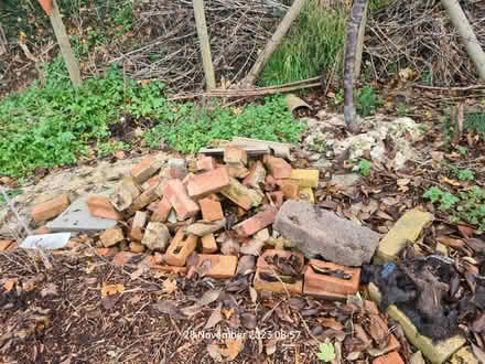 Photo of free Bricks (BS24) #1
