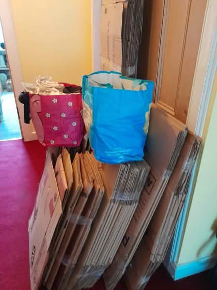 Photo of free Moving Boxes (Alloa FK10) #2
