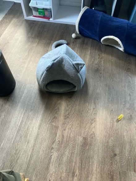 Photo of free Cat toys (Lanham) #1